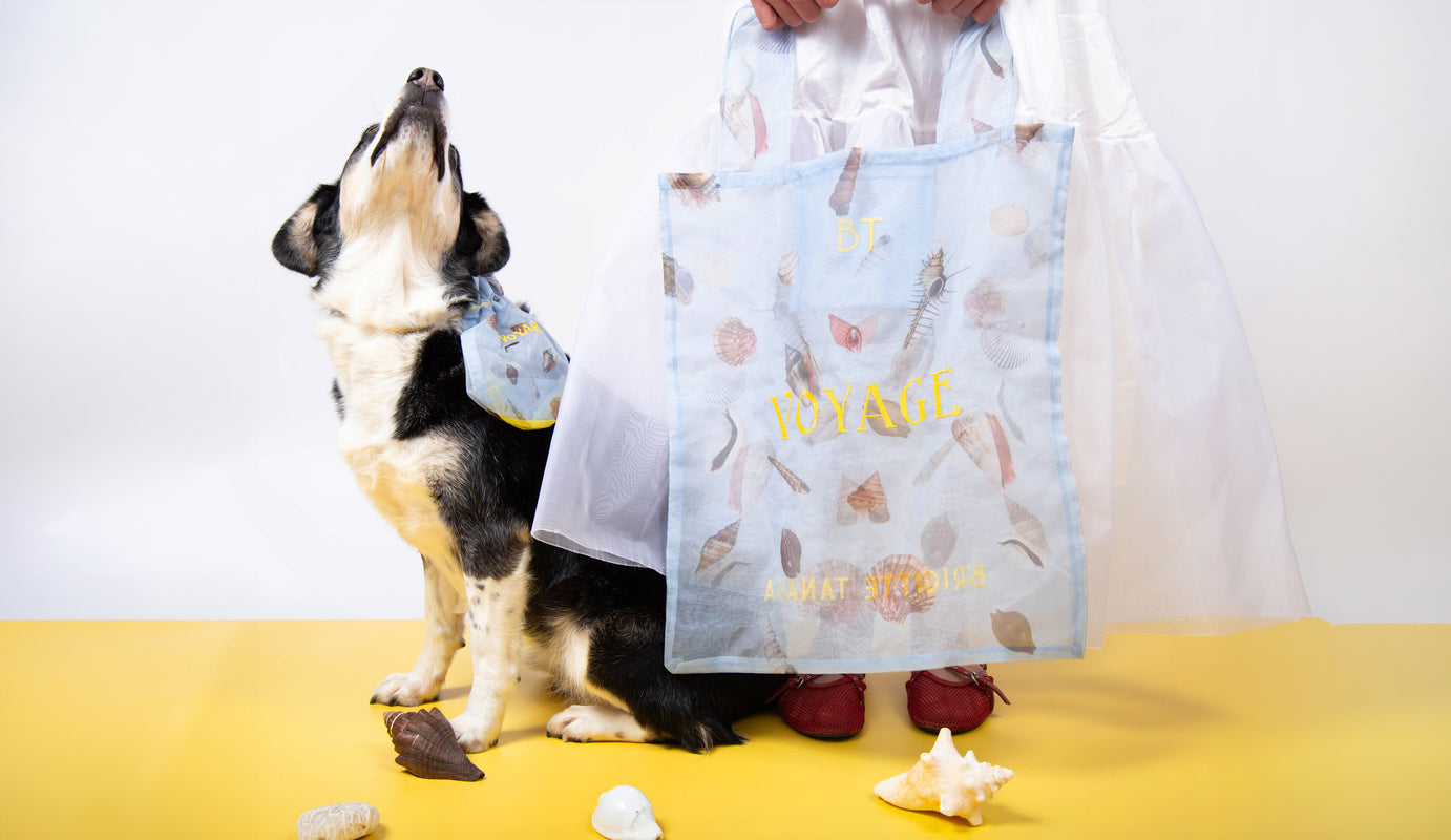 banner_ss26-Brigitte-Tanaka-organza-bag-dog